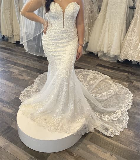 D2988 Essense Of Australia