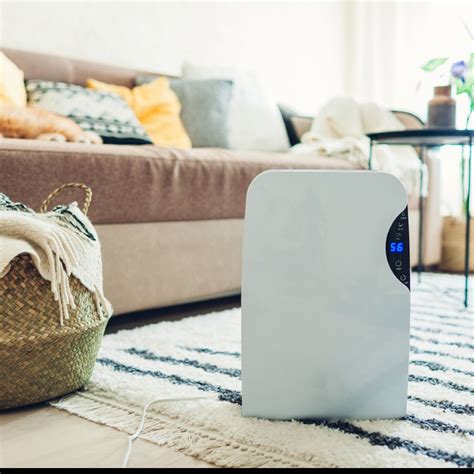 How to Choose a Dehumidifier to Help Reduce Your Energy Cost This ...