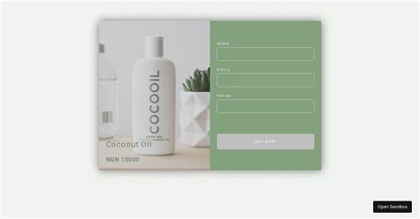 Image result for Paystack Live Key Sample