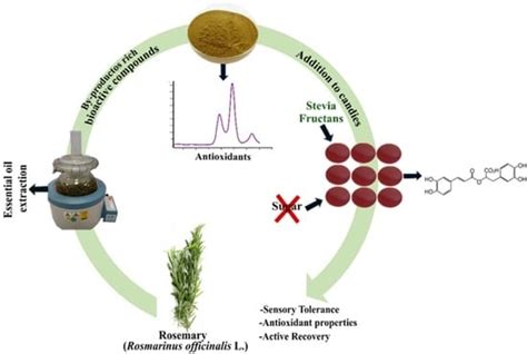 Assessment of Rosemary (Rosmarinus officinalis L.) Extract as ...