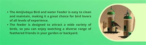 Amijivdaya Medium Bird and Water Feeder Combo (Green, Transparent ...