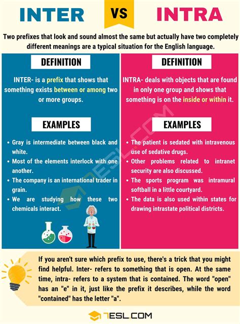 Inter vs. Intra: Understanding the Distinction • 7ESL