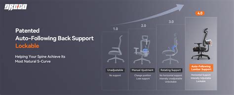 DROGO Ergonomic Office Chair for Work from Home, High Back Computer ...