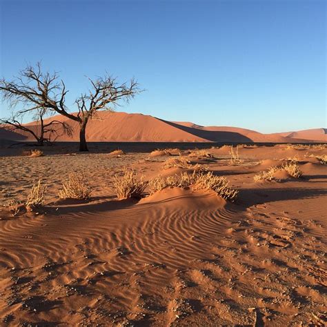 Namibia Tourism (2023): Best of Namibia - Tripadvisor