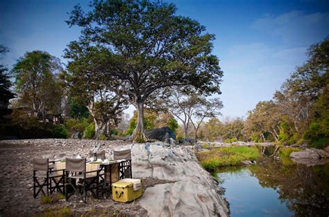 Exploring Kanha National Park: Home of tigers and the barasingha ...