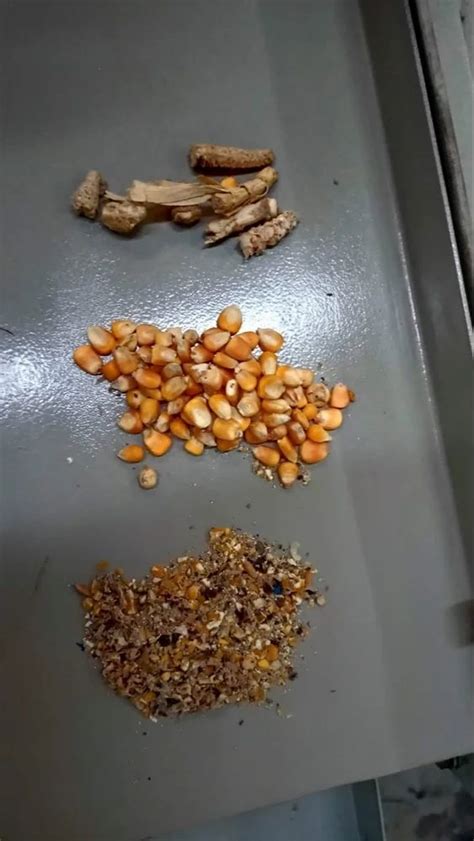Grain Pre-Clean - 5 HP Grain Pre Cleaner Machine Manufacturer from Vadodara