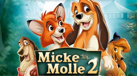 The Fox And The Hound 2 Movie (2006) | Release Date, Cast, Trailer ...