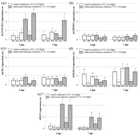 Simultaneous Application of Several Exogenous dsRNAs for the Regulation ...