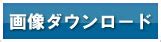 Image result for Free Code Camp HTML Lesson 56
