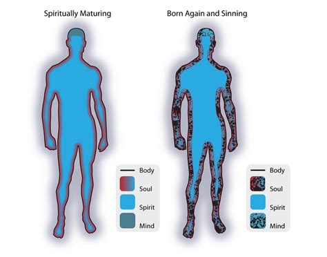 Spirit, Soul, and Body | Agathos