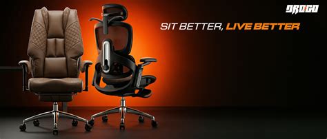 DROGO Ergonomic Office Chair for Work from Home, Chair for Study with ...