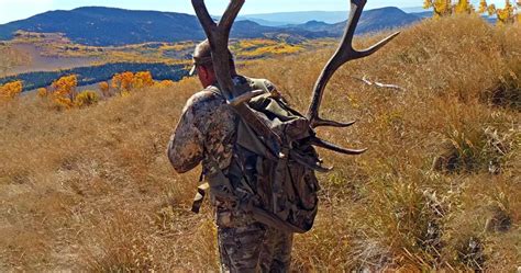Image result for Elk Hunting Backpack