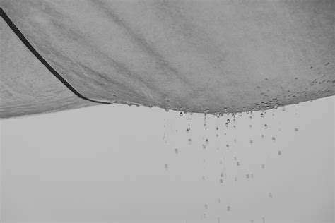 Water Damage Insurance Claims: Everything You Need to Know | Claims XP