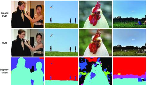 Segmentation Visualization Stack Overflow 的图像结果