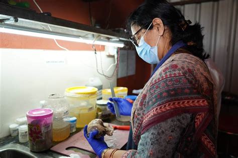 GenX Diagnostics – GenX Diagnostics in Sahid Nagar, Bhubaneshwar