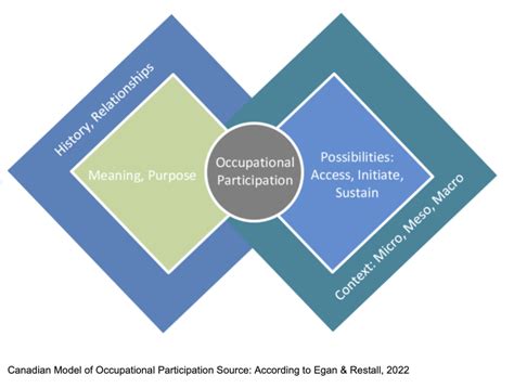 Image result for Canadian Practice Process Framework and Cmope