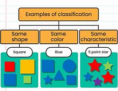 Image result for Classifying