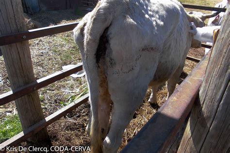 Sophiaa west leaks jessica really wants to please, but I