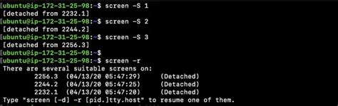 Image result for Screen Command Linux Bash