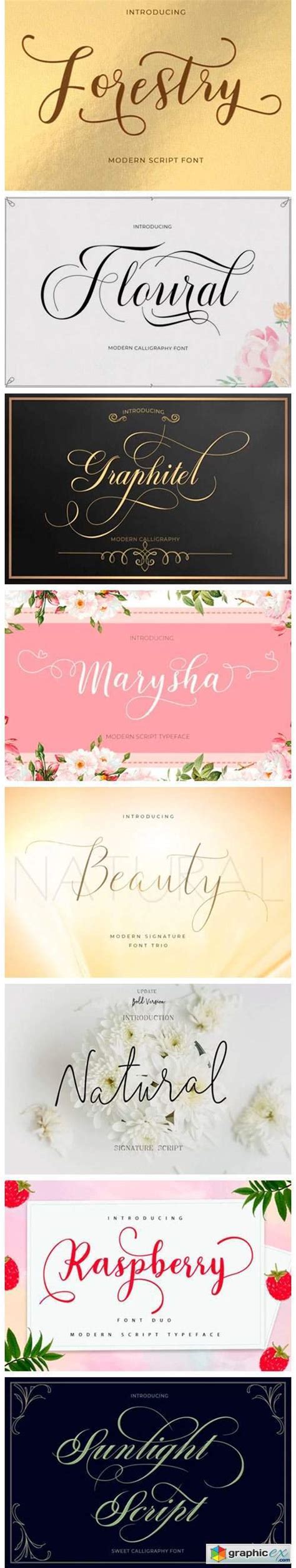 Image result for Beautiful Script Fonts