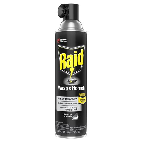 Raid Wasp and Hornet Killer, 17.5 OZ (Pack - 12) - Walmart.com