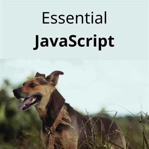Image result for JavaScript Programming Download