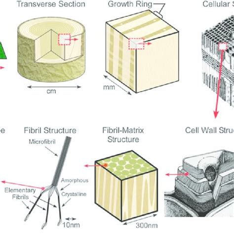 Image result for OutSystems Tree Structure View