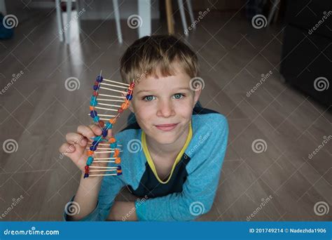 Image result for How to Make DNA Model Using Clay