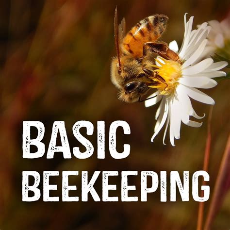 Image result for Basic Beekeeping Course
