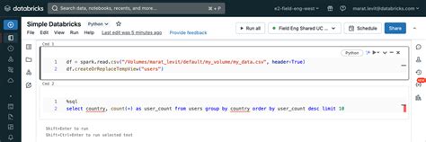 Databricks Notebooks Examples 的图像结果