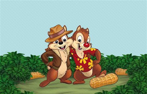 Chip and Dale Cartoon 的图像结果