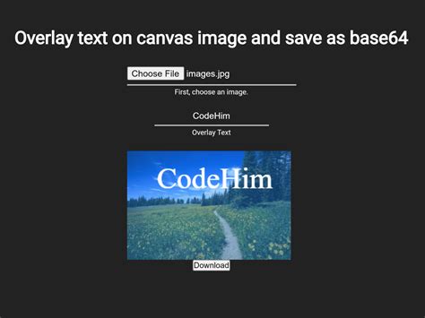 Image result for JavaScript Code That Adds Text In