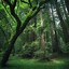 Image result for Natural Wallpaper Forests