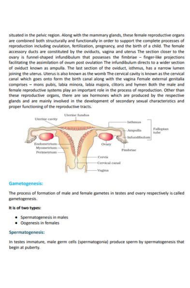 Class 12th Reproduction 的图像结果
