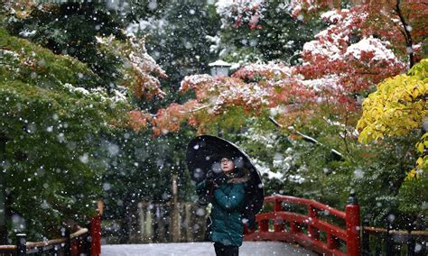 How Cold Is Japan In November