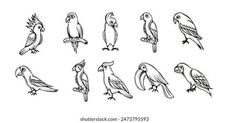 Image result for Simple Hand Drawn Parrot