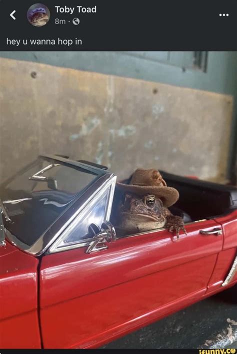 Toad's Mistake 的图像结果