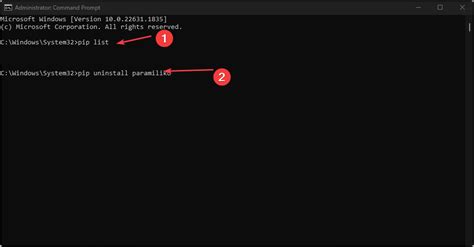 Image result for PIP Remove Package