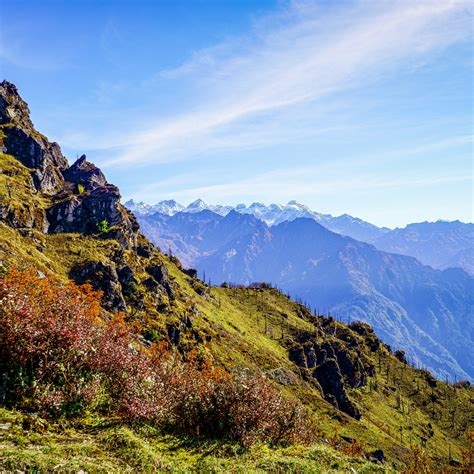 The wildlife in Himalayas might be thinking that we have gone extinct. : r/backpacking