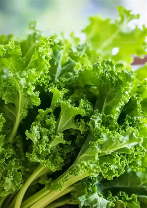 Southern Mustard Greens Recipe with Bacon