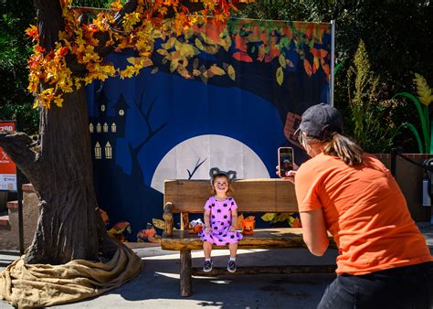 L.A. Zoo’s Halloween festivities return for 2025 | KTLA
