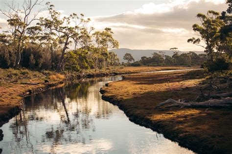 Maria Island Tasmania: 15 Incredible Things to Do – We Seek Travel Blog