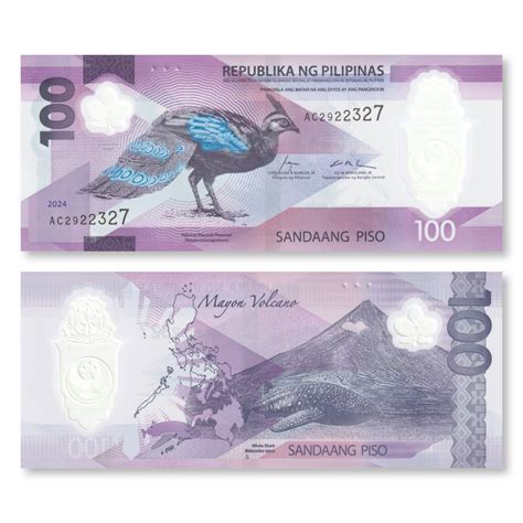 $100 In Pesos