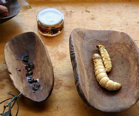 Feast or Famine: Exploring the Challenges of Aboriginal Food Security