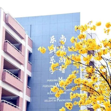 广州外国语学校：全日制寄宿制外语特色学校，引领学生全面成长！_国际学校