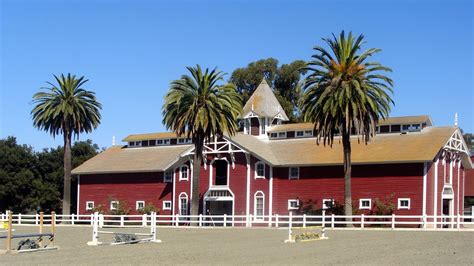 Horse Boarding Costs: Full Monthly Price & Fee Breakdown