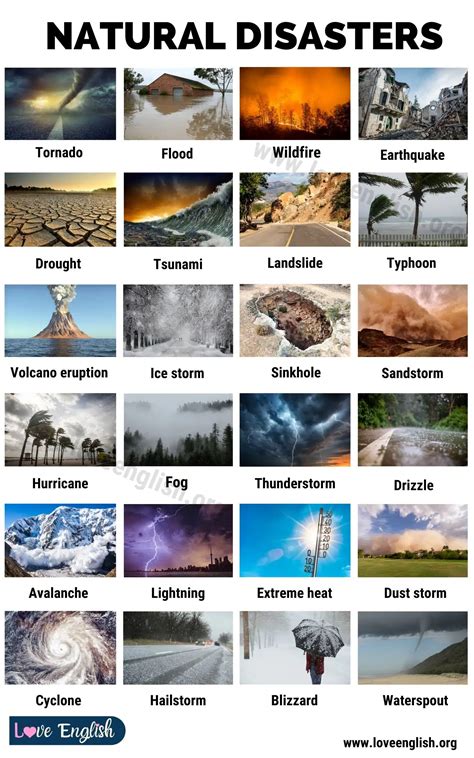 Natural Disasters Examples 的图像结果