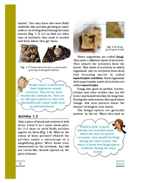 Image result for Class 7 Science Chapter 1 Notes