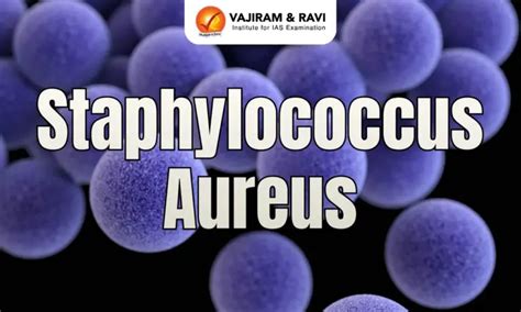 Staphylococcus Aureus, Causes, Treatment, Latest News