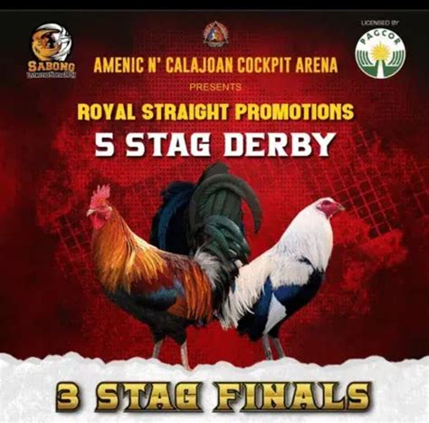 Pitmaster Sabong Tips 的图像结果